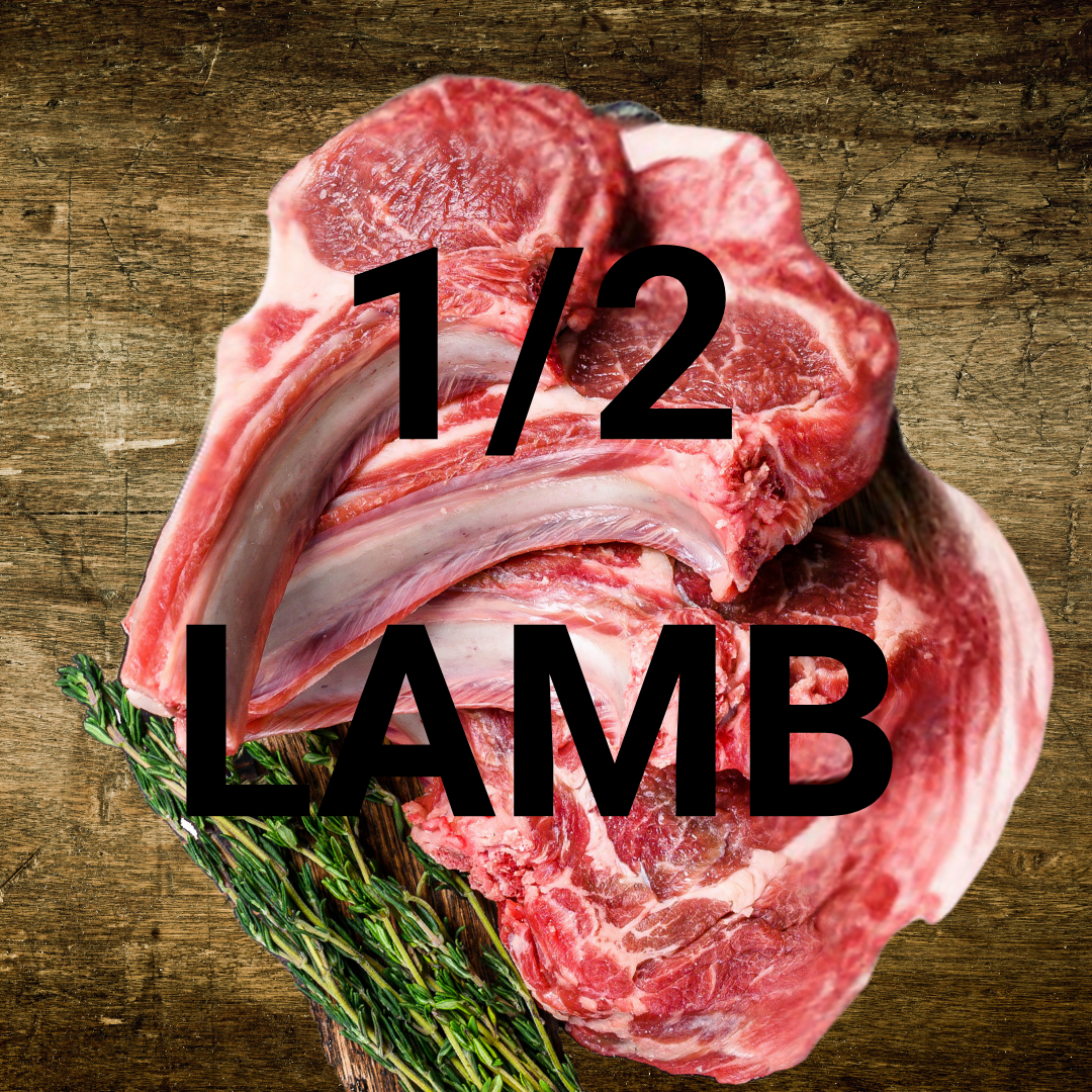 HALF LAMB